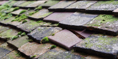 Penplas roof repair costs